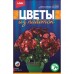 Набор д/творчества Цветы из пайеток "Разноцветные герберы" LORI